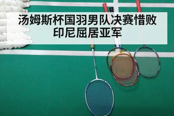 汤姆斯杯国羽男队决赛惜败印尼屈居亚军